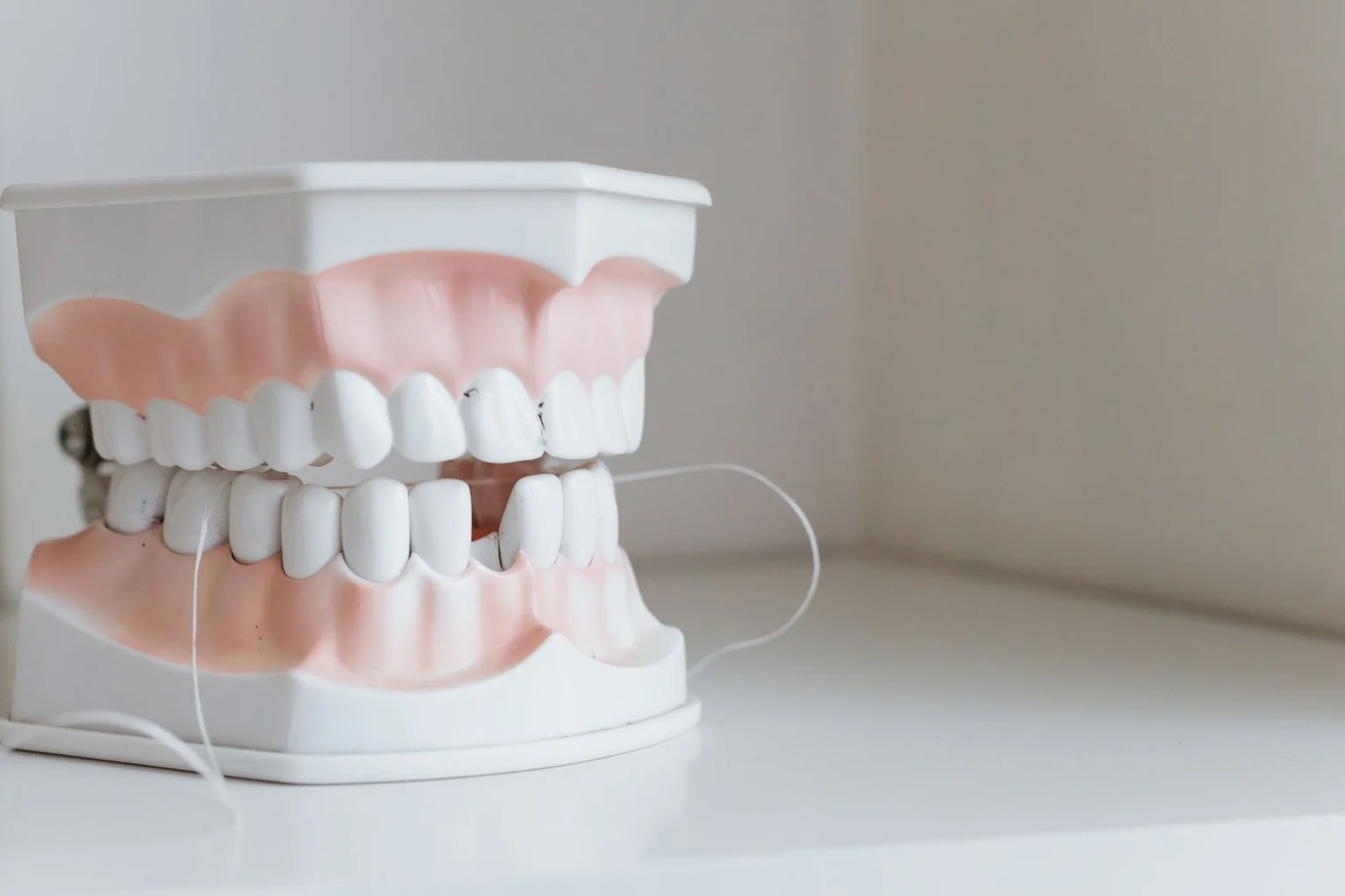 A dental model of the teeth and gums with dental floss, representing periodontal care